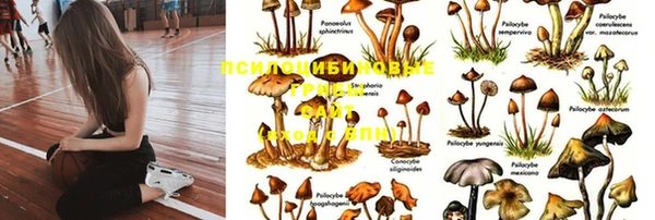 jwh Баксан