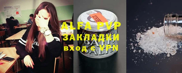 гашик Нефтекумск